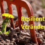 Resiliente Veränderung