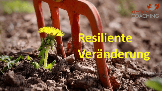 Resiliente Veränderung